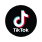 Tiktok Icon